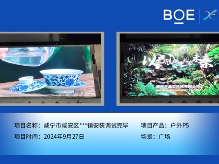 咸寧市咸安區(qū)***鎮(zhèn)安裝調(diào)試完畢