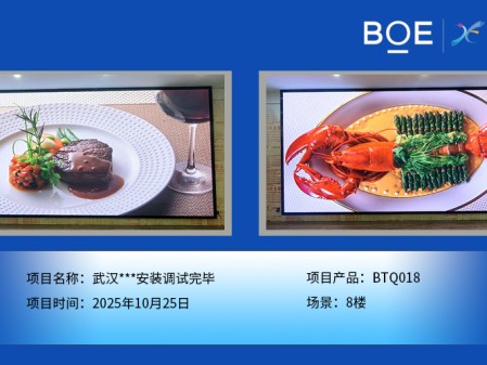 武漢***安裝調(diào)試完畢